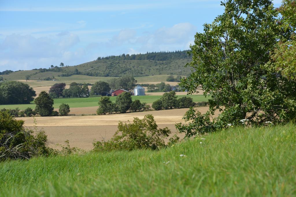 Havehøjegaard Appartement Borre Buitenkant foto