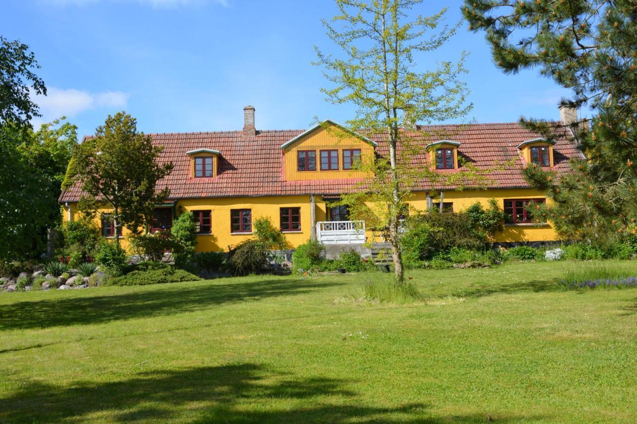 Havehøjegaard Appartement Borre Buitenkant foto
